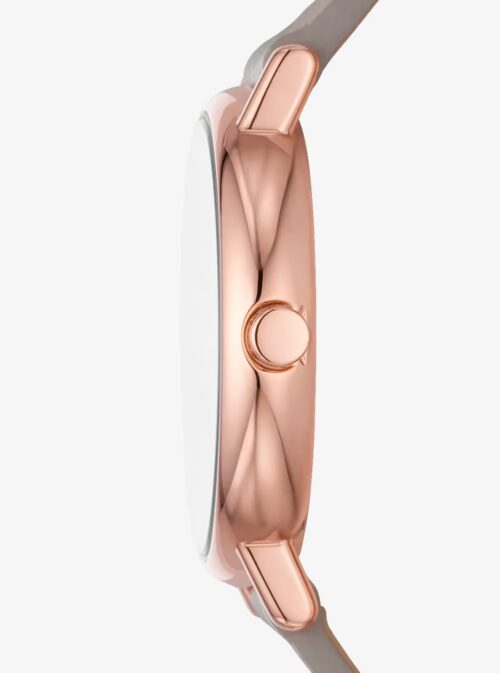 Tổng quan về đồng hồ nữ Skagen SKW3060